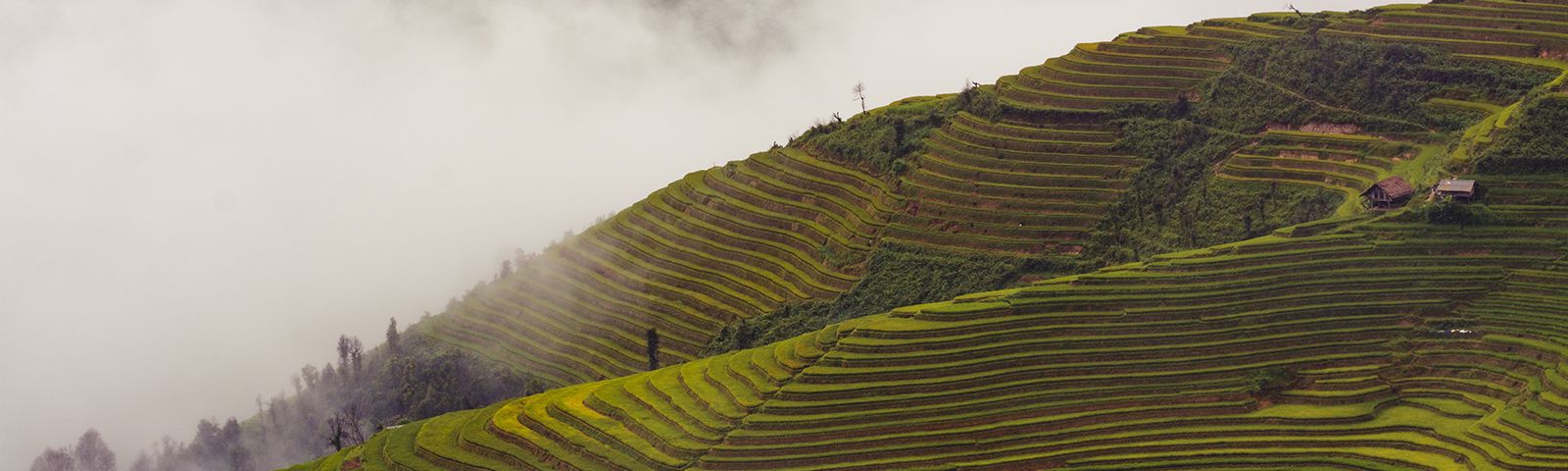 Vietnam photography tours