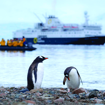 Antarctica Photography Tour