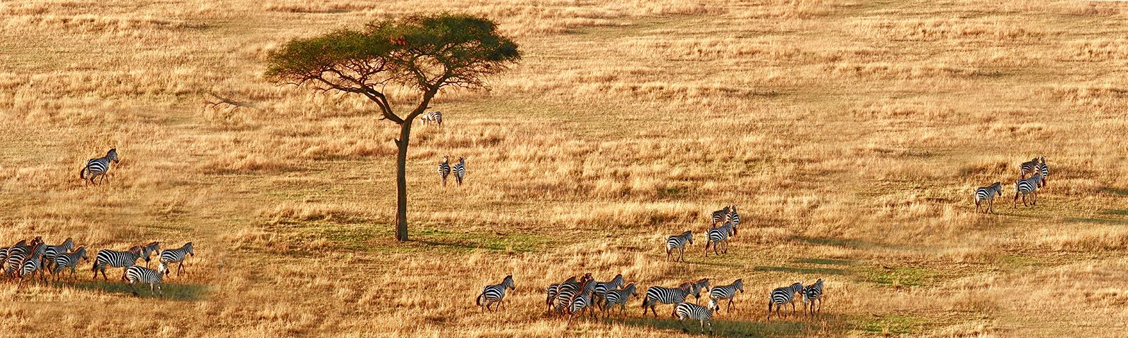 Tanzania Photography Tour