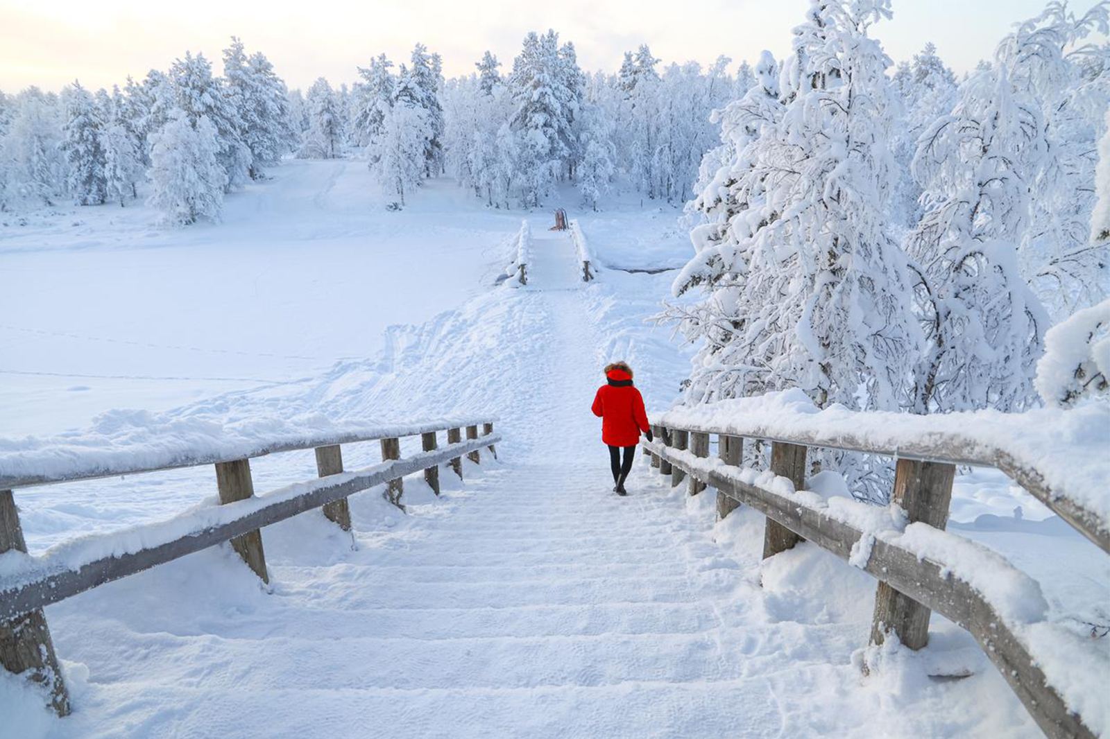 travel agency in finland